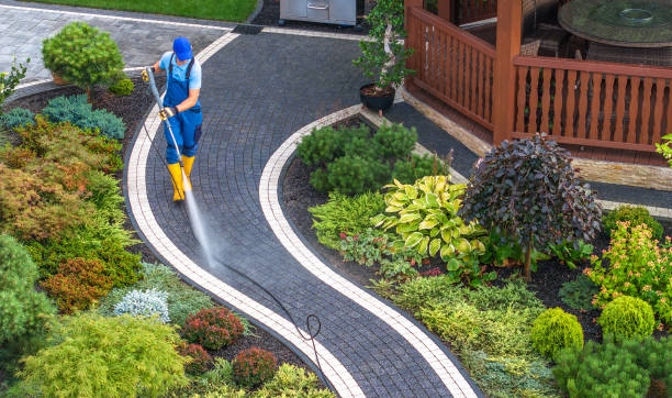 Roof Power Washing Services in Gainesville, FL