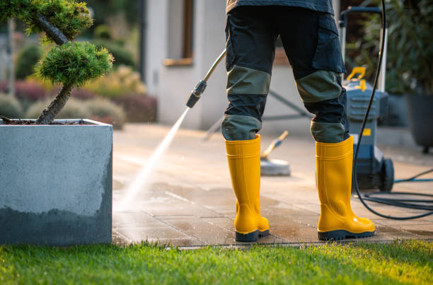 Best Deck Pressure Washing  in Gainesville, FL
